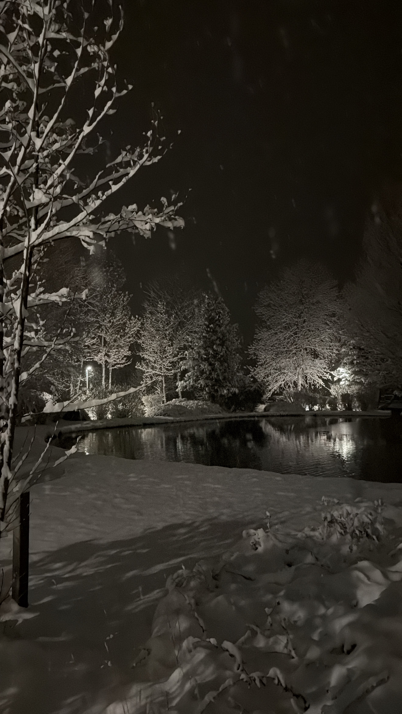 Parc enneigé à Saillagouse