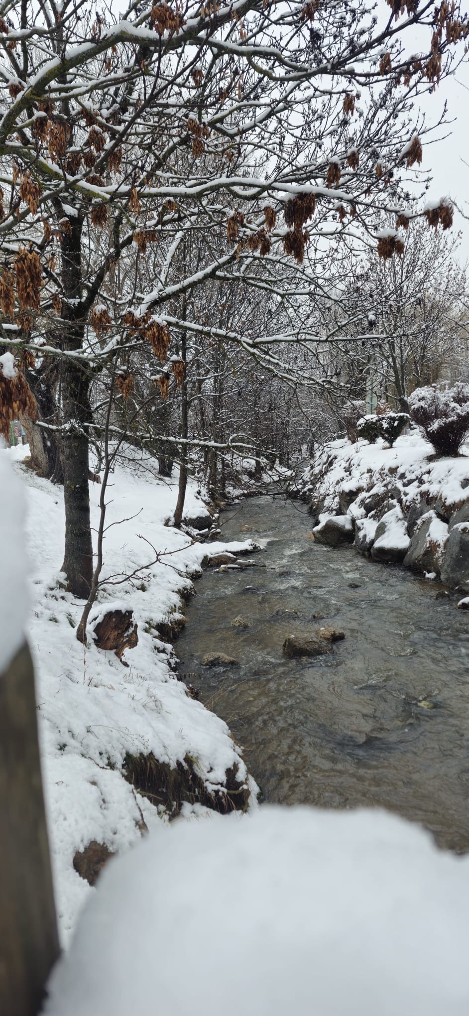 Rivière bordée de neige à Saillagouse
