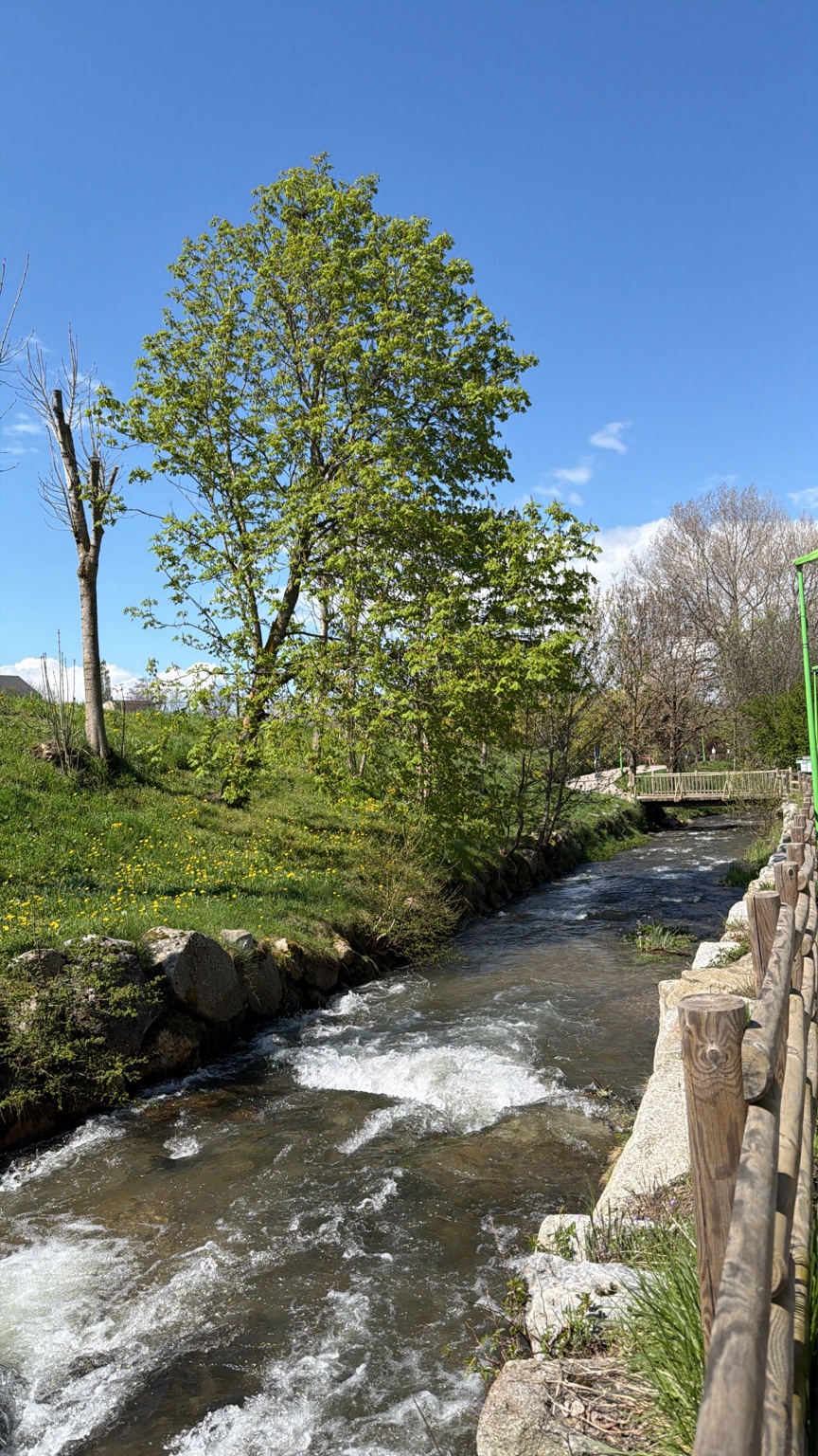 Rivière à Saillagouse au printemps